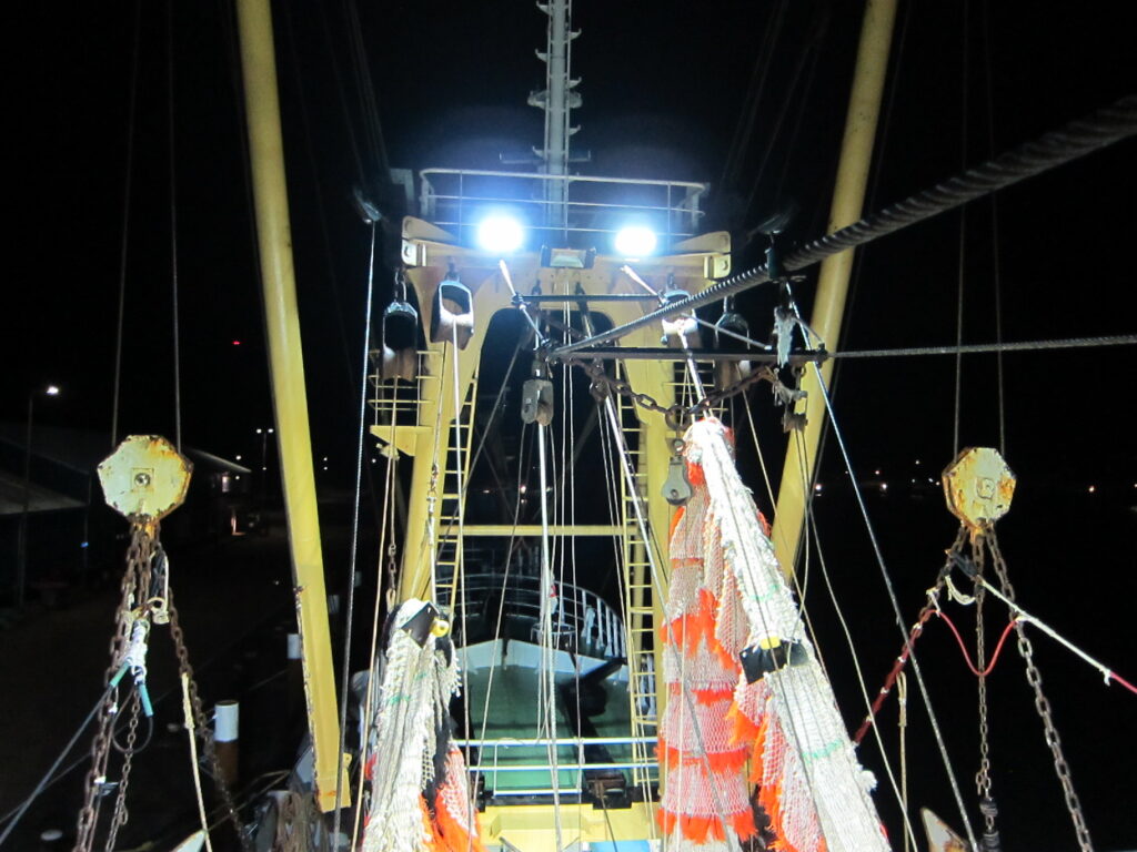 dekverlichting TX-43